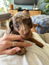 Luba Ring