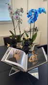 Open book Tray