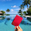 Passport Cover — black gold small